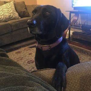 Meet your Posher, Styphanie